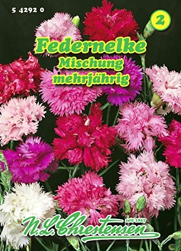 Dianthus plumarius, Federnelken, Mischung N.L.Chrestensen Samen 542920-B