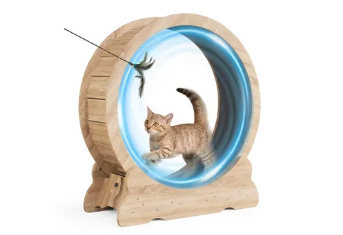 Mondeer Katzenlaufband für Indoor-Katzen – 80cm Innendurchmesser, Stabil und Leise