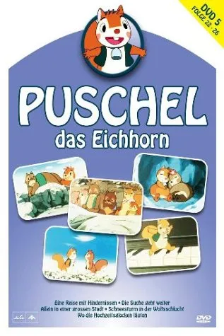 Puschel - Das Eichhorn 5