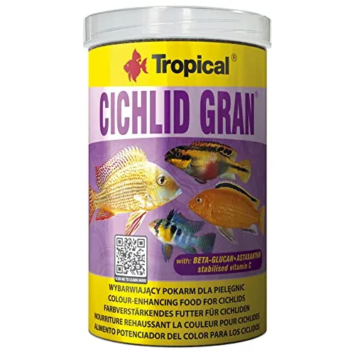 Tropical Cichlid Gran von Tropical