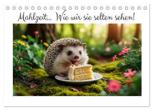 Dirk Rosin | Mahlzeit... Wie wir Sie selten sehen! (Tischkalender 2026 DIN A5...