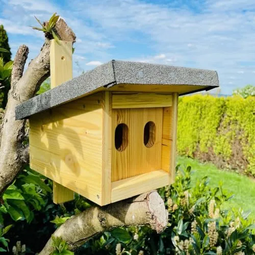 DARLUX Nistkasten mit Marderschutz für Hausrotschwanz und Rotkehlchen - Nistkasten aus wetterfestem Fichten- und Lärchenholz, handgefertigt und mit Marderschutz. Ideal für den naturnahen Garten und fördert die Vogelpopulation.
