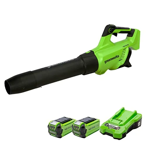 Greenworks GD40ABK2X Axial Akku Laubbläser - Leistungsstarker Axial-Laubbläser mit bürstenlosem Motor für bis zu 210 km/h. Inklusive zwei 40V Akkus und Ladegerät – ideal für effizientes Laubentfernen und Trocknen von Autos.