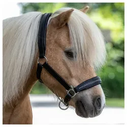 Waldhausen Halfter Waldhausen STAR Lederhalfter Diamond