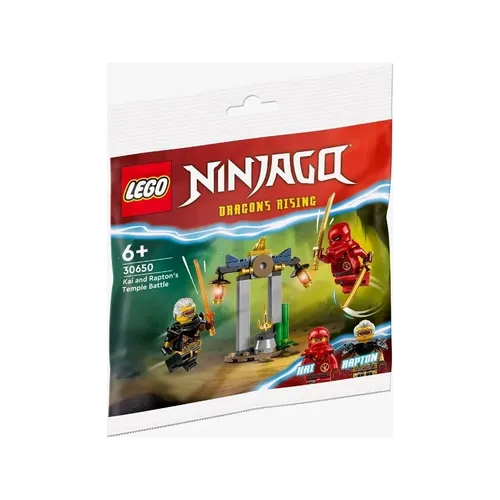 LEGO 30650 Kais und Raptons Duell im Tempel