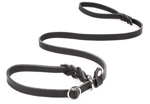 CopcoPet Retrieverleine mit Zugstopp für kleine Hunde – 1,20m x 10mm Moxonleine in Schwarz – Fettlederleine & Agilityleine aus Leder – stufenlos verstellbar, Handarbeit, verchromt, wetterfest