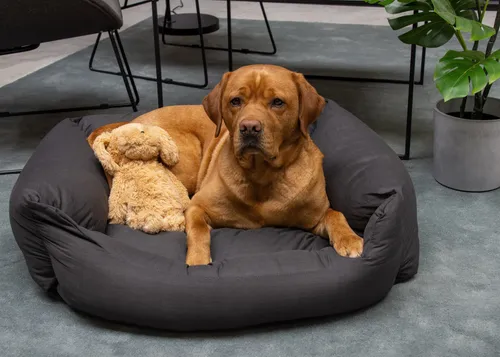 Karlie Tierbett Hundebett Charly dunkelgrau - 80 x 70 x 25 cm, gemütlich und stilvoll für Ihren Hund