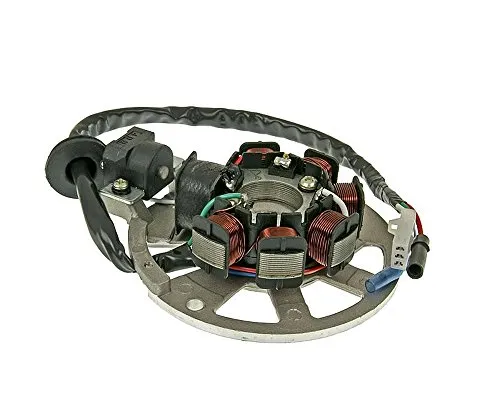 VANEZ Lichtmaschine/Stator Version 1 kompatibel für CPI Keeway ATU Explorer Race GT 50 Spin GE China 2-Takt