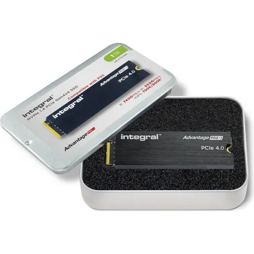 Integral 1TB - SSD M.2 2280 NVME 1.4EPCIE GEN4 (1000 GB, M.2 2280) (INSSD1TM2280G4AP1XHS)