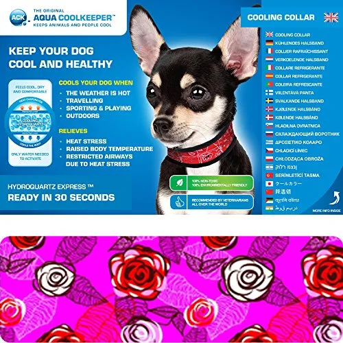 Produktbild Aqua Coolkeeper Halsband Roses XXS