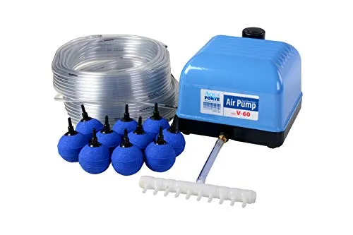 AquaForte