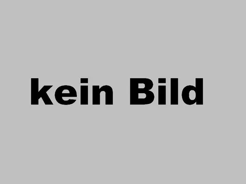 Werkmeister Wewa® Daumen-Handgelenkorthese