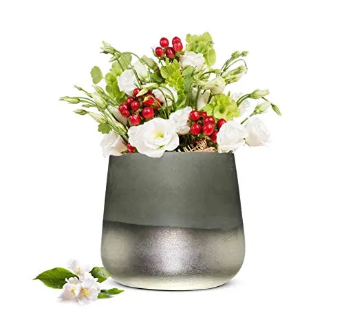 Sendez Blumenvase Barbara Tischvase Glasvase Dekovase Vase Blumentopf Pflanztopf (Grau)