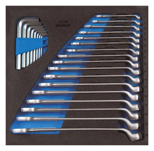 Gedore Werkzeugmodul CT2/3 Ring-Maulschlüssel gekröpft - 2308819 - Werkzeug-Set mit gekröpften Ring-Maulschlüsseln, ideal für enge Platzverhältnisse und präzises Arbeiten.