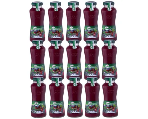 Güldenkron Smoothie Rot Fruchtsaft Püree und Konzentrat 15x200ml - Fruchtiger Smoothie mit einer Mischung aus verschiedenen Saftkonzentraten, ideal für erfrischende Momente. Kühl und trocken lagern, ohne Allergene.