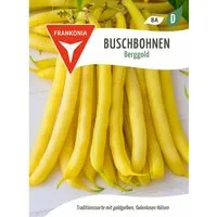 FRANKONIA Buschbohne Berggold