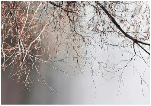 WallArena Vlies Fototapete Botanisch 400x280 cm - Elegante Wandgestaltung für jeden Raum - Hochwertige Vliestapete mit 3D Effekt für Wohnzimmer und Schlafzimmer. Inklusive Kleister und einfache Montage für eine schnelle Raumumgestaltung.