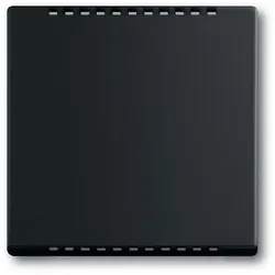 Busch-Jaeger 6541-885 Zentralscheibe für Kühlteil für Unterputz-Drehdimmer, schwarz matt, Plattform 63