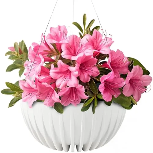 Blumentöpfe & Pflanzgefäße von Konzept