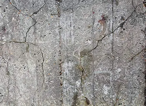 Livingwalls Fototapete Designwalls Old Concrete - XXL Vliestapete in Betonoptik (350 x 255 cm), waschbeständig und einfach zu tapezieren - verleiht jedem Raum einen modernen Look.