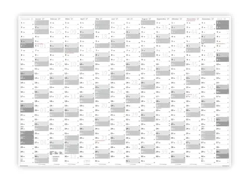 XXL Wandkalender DIN A0 2027 (grau2) große Tageskästchen (Kalender werden gerollt versendet)