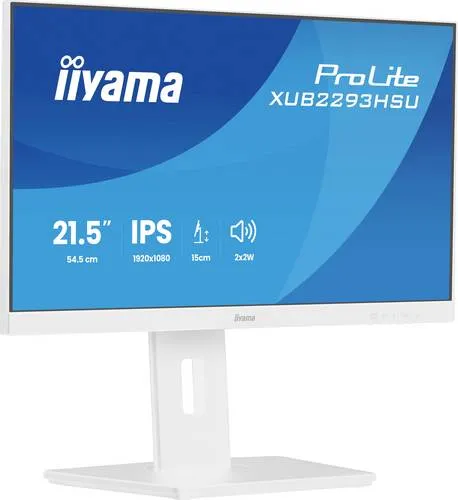 iiyama ProLite XUB2293HSU-W7 21.5 Zoll Full HD Monitor