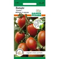 SAMEN PFANN Tomate Cookie Melange F1