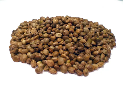  500g Bio Hanfsamen Rohkost Vegan ungeschält Superfood Omega-6 11,80 EUR/kg