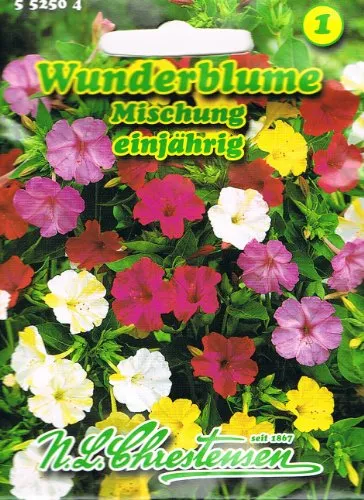 Wunderblume Mischung 'Mirabilis jalapa' - Duftende Rabatten- und Kübelpflanze - Blumensamen & -pflanzen, stark duftend und ideal für bunte Rabatten oder Kübel. Inhalt reicht für ca. 10 Pflanzen, perfekte Wahl für Ihren Garten!