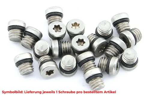 SRAM/AVID Entlüftungsschraube für DOT Bremsen