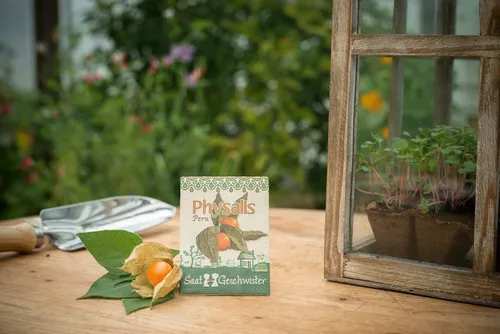 Die Stadtgärtner Blumensamen Die Stadtgärtner Physalis