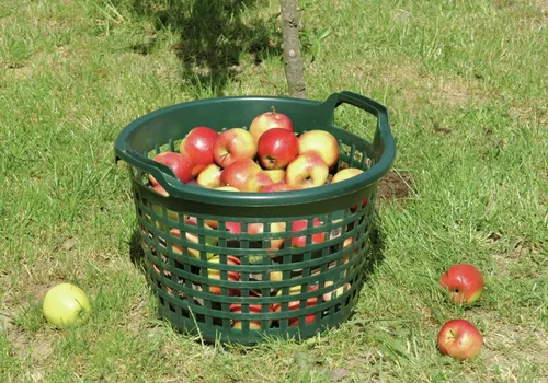 Floraworld Gartenkorb 25 kg rund in grün von Floraworld