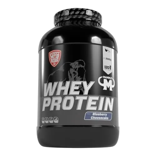 Whey Protein - Blueberry Cheesecake - 3000 g Dose - Molkenproteine mit 27 g Protein pro Portion, ideal für Sportler zur Unterstützung von Muskelaufbau und -erhalt. Hervorragende Löslichkeit und praktischer Dosierlöffel für perfekten Genuss.