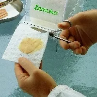 Lohmann & Rauscher GmbH & Co.KG ZEMUKO Vliesstoff-Kompr.gerollt 10 cmx1 m 1 St 01144066