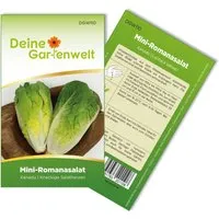 Deine Gartenwelt Mini-Romanasalat Xanadu Samen