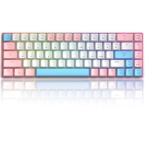 60% mechanische Mini-Tastatur, kompakt 68 Tasten, USB C, kabelgebunden, RGB-Tastatur, 18 Chroma Rainbow Hintergrundbeleuchtung, tragbar, kompatibel mit PS4, Xbox, PC, Laptop – Pink/Blauer Schalter