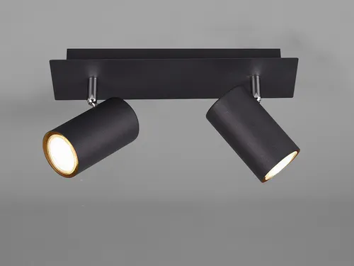 Moderne Bürolampe mit 2 schwenkbaren LED Deckenspots - Lampen für jeden Raum: Diese elegante Deckenleuchte in Schwarz matt bietet schwenkbare Spots für gezielte Beleuchtung und sorgt für ein modernes Ambiente.