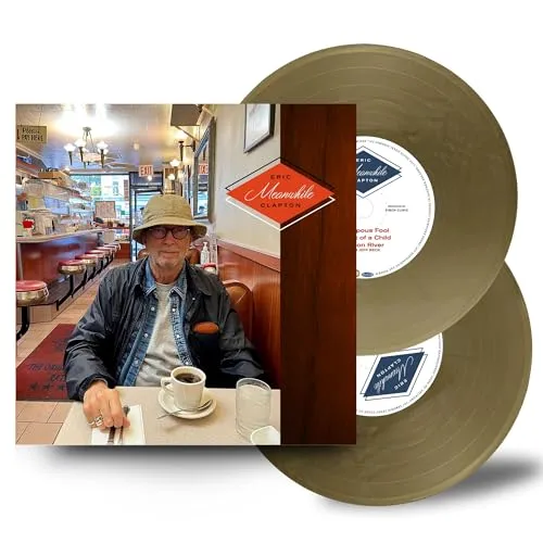 Produktbild Meanwhile [Vinyl LP]: Fesselndes Rockalbum auf hochwertigem Vinyl