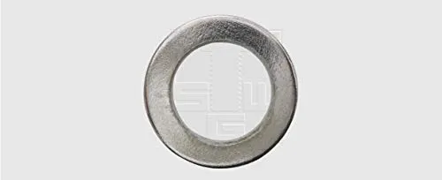 SWG Fitschenringe 10 mm Stahl vernickelt 10 Stück - 23993080