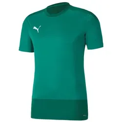 PUMA T-Shirt PUMA teamGOAL 23 Training Trikot Kurzarm-Shirts Polyester grün XL