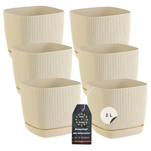 Engelland - 6 x Blumentopf mit Drainagesystem, Untersetzer, Farbe: Beige, Rillenoptik, Pflanz-Topf, Kübel, modern, Kunststoff, quadratisch, 15 x 15 cm, 2 Liter