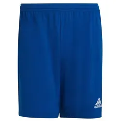 Herrenshorts von adidas