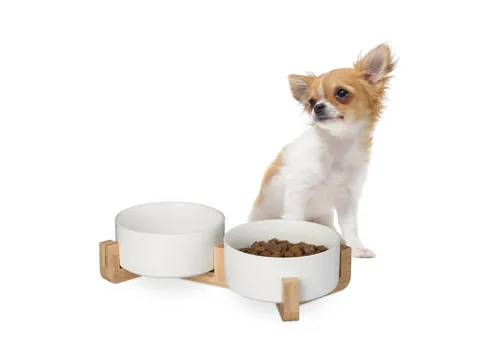 Relaxdays Hunde Napfbar Keramik - 850 ml Futternapf mit Bambus-Gestell, ergonomisch und stilvoll für kleine bis mittelgroße Hunde