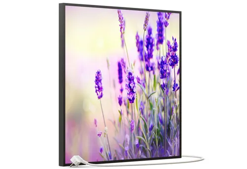STEINFELD Heizsysteme Infrarotheizung, Bild, 350W 60x60cm, Inklusive Thermostat, viele Motive
