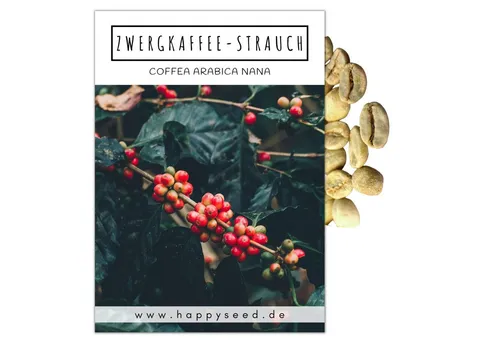 HappySeed Blumensamen Kaffee Samen - Coffea arabica nana, Blumen