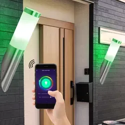 Smart Außen Wand Leuchte 2er Set mit RGB LED und Sprachsteuerung