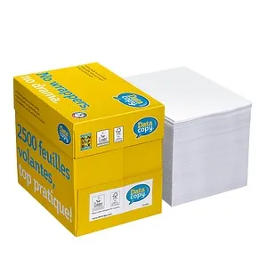 DataCopy Kopierpapier Everyday Printing - A4, 80g/m², hochweiß, 2500 Blatt, ideal für hochwertige Farbdrucke und umweltschonend produziert