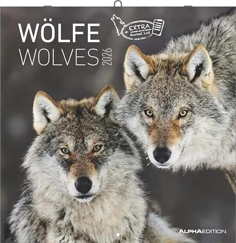 Alpha Edition - Wölfe Kalender 2026 – Wandkalender & Bildkalender 30x30 cm (30x60 cm geöffnet) mit faszinierenden Wolfsfotografien, für Naturfreunde & Tierliebhaber: Wolves