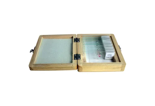 Omegon Dauerpräparate Set 20 Stück in Holzbox von Omegon