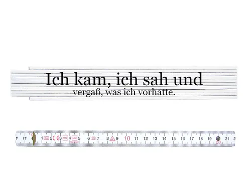 ZOLLSTOCK Metermaß Spruch ICH KAM SAH UND VERGASS WAS ICH VORHATTE Geschenk Chef
